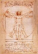 LEONARDO da Vinci Rule fur the proportion of the human figure USA oil painting reproduction